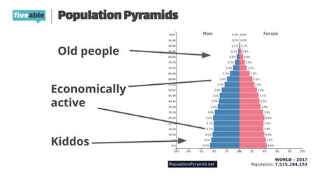 Population Composition Definition AP Human Geography: A Kaleidoscope of Human Diversity